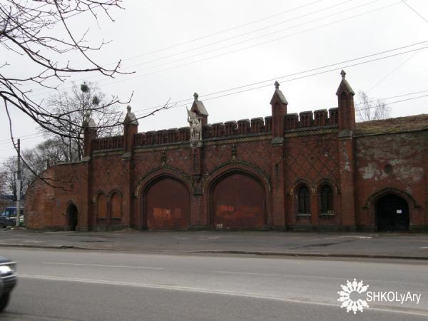 Калининград и область.