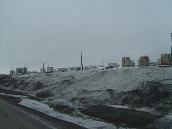 Тикси 1