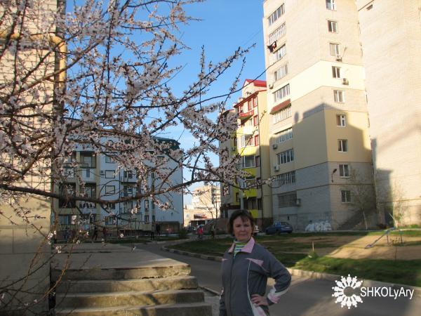 Зрелость
