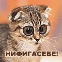 Виктория Писклова