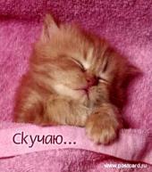 Куколка Петькина