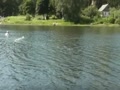 traxxas blast