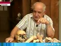 Великаны Боржомского ущелья