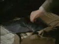 Прикольная реклама...
