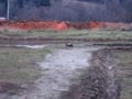 Traxxas Vxl Stampe...