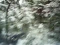 Прикол