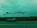 Птичий полтергейст